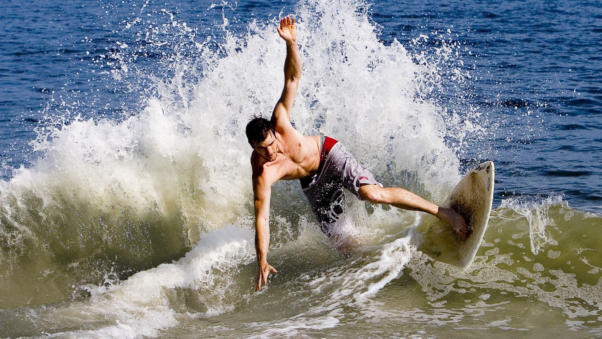 拉尼·帕利斯特女子800米自由泳决赛亮相，女子800米自由泳2011